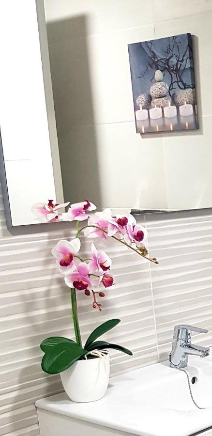 אליקאנטה Loft Apartamento Sevilla 16 מראה חיצוני תמונה